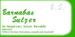 barnabas sulzer business card